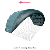 Aeryn P1 parawing