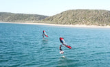 Wing Foil Lesson*